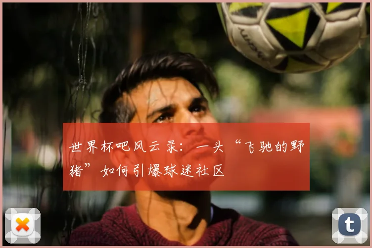 世界杯吧风云录：一头“飞驰的野猪”如何引爆球迷社区