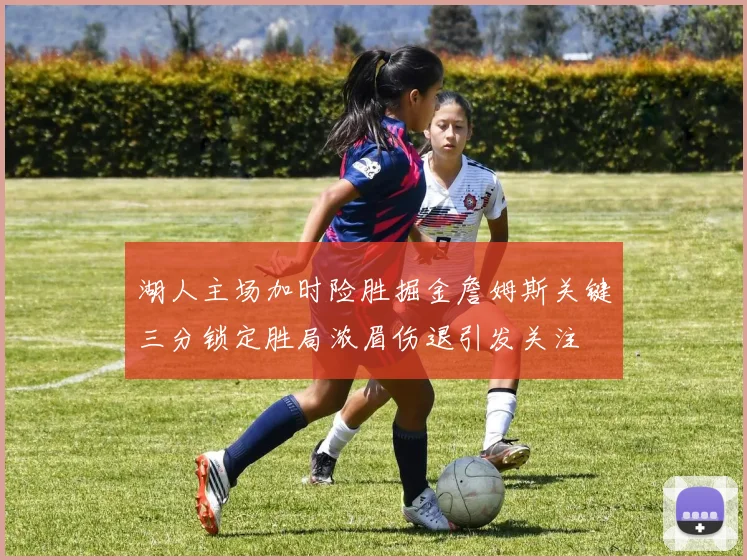 湖人主场加时险胜掘金詹姆斯关键三分锁定胜局浓眉伤退引发关注