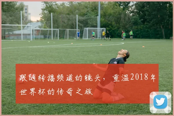 跟随转播频道的镜头，重温2018年世界杯的传奇之旅