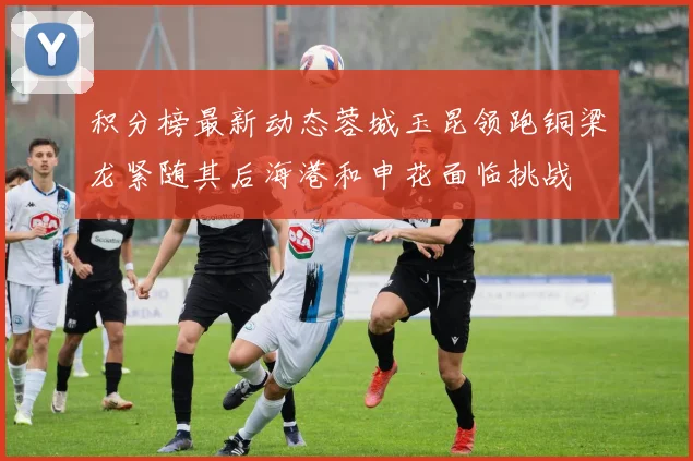 积分榜最新动态蓉城玉昆领跑铜梁龙紧随其后海港和申花面临挑战