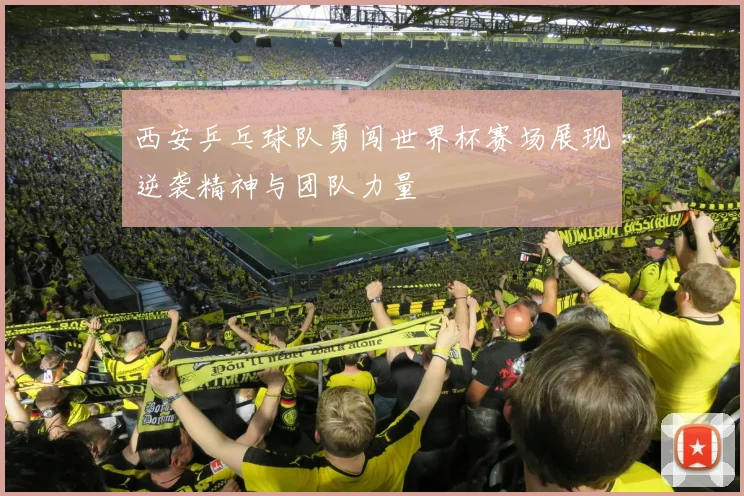 西安乒乓球队勇闯世界杯赛场展现逆袭精神与团队力量