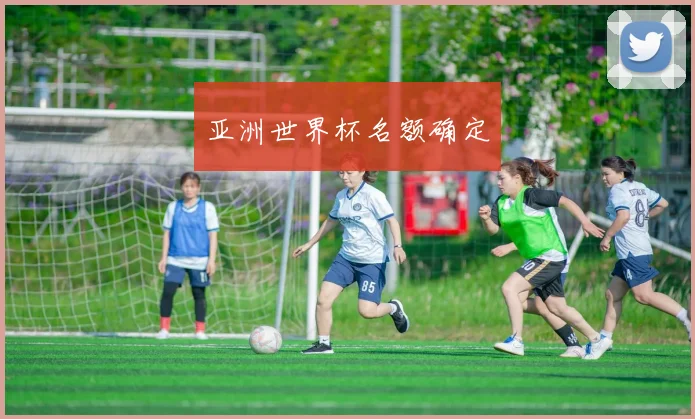 亚洲世界杯名额确定