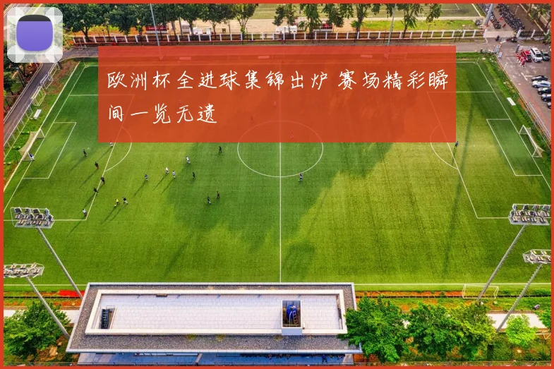 欧洲杯全进球集锦出炉 赛场精彩瞬间一览无遗