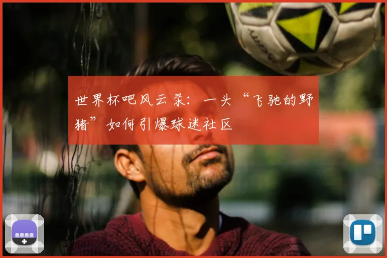 世界杯吧风云录:一头“飞驰的野猪”如何引爆球迷社区